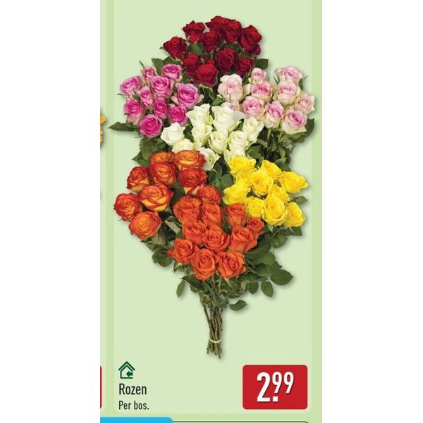 Rozen