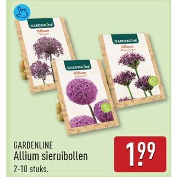 GARDENLINE Allium sieruibollen