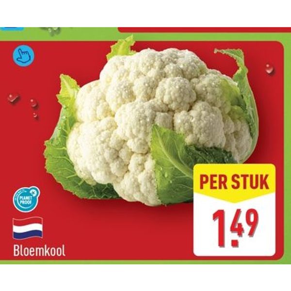 Bloemkool