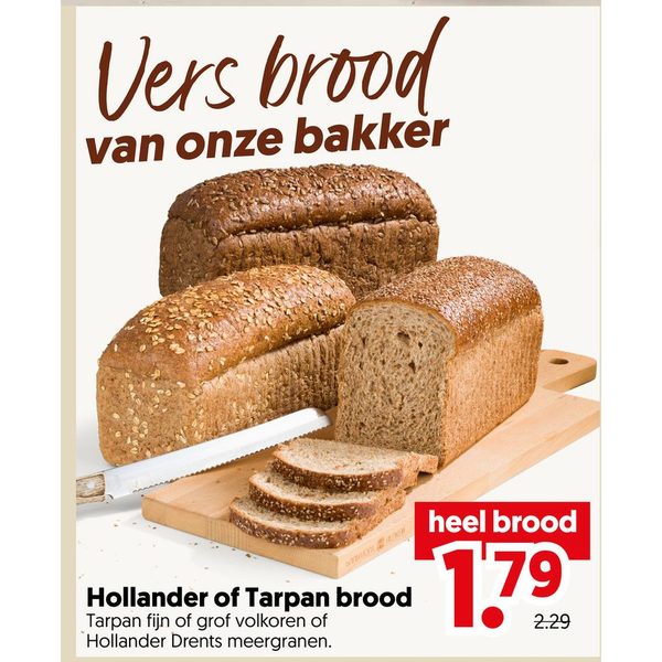 Hollander of Tarpan brood