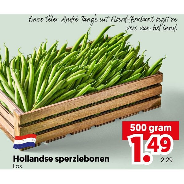 Hollandse sperziebonen