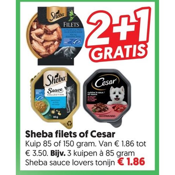 Sheba filets of Cesar