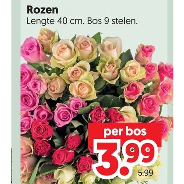 Rozen