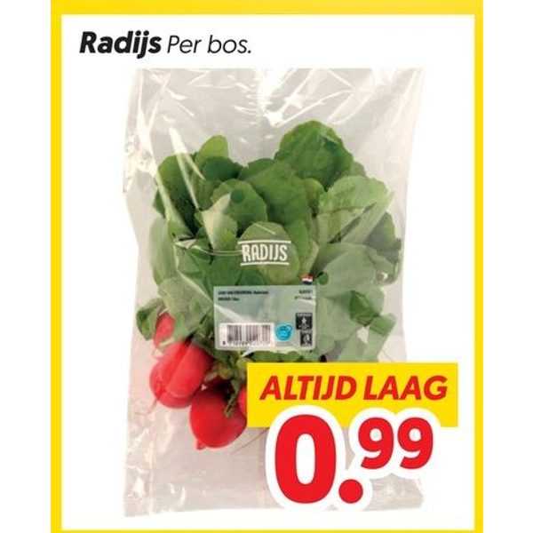 Radijs