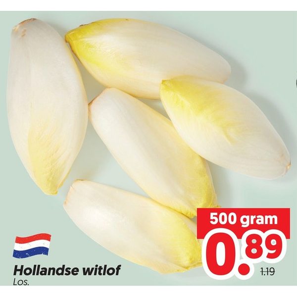 Hollandse witlof