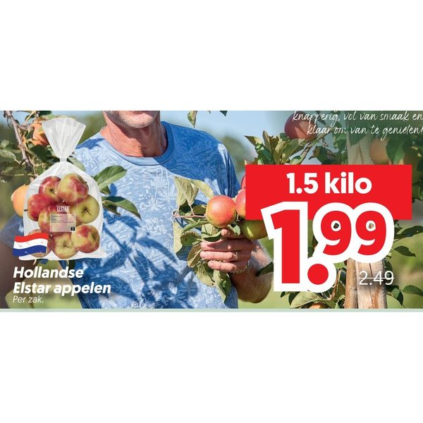 Hollandse Elstar appels