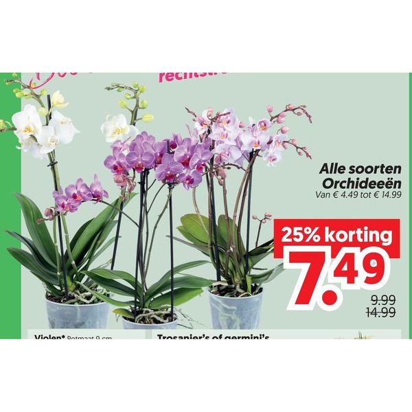 Alle soorten Orchideeën