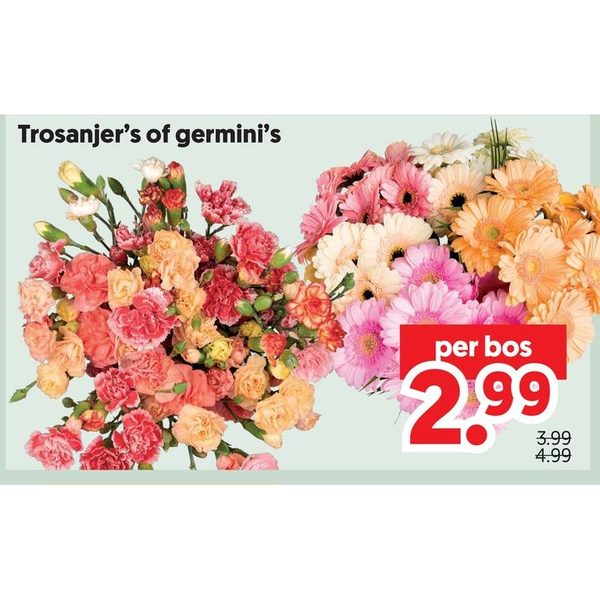 Trosanjer's of germini's
