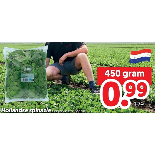 Hollandse spinazie