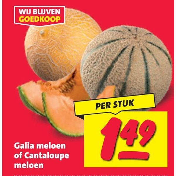 Galia meloen of Cantaloupe meloen