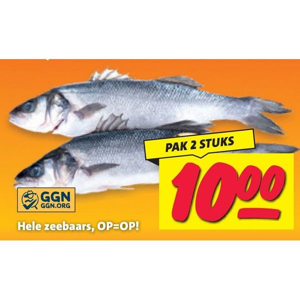 Hele zeebaars