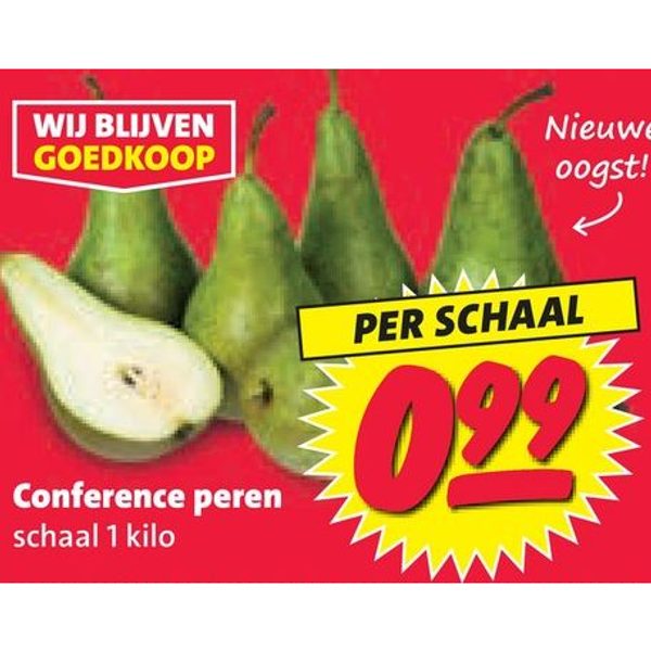 Conference peren