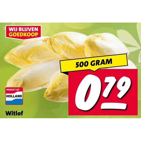 Witlof