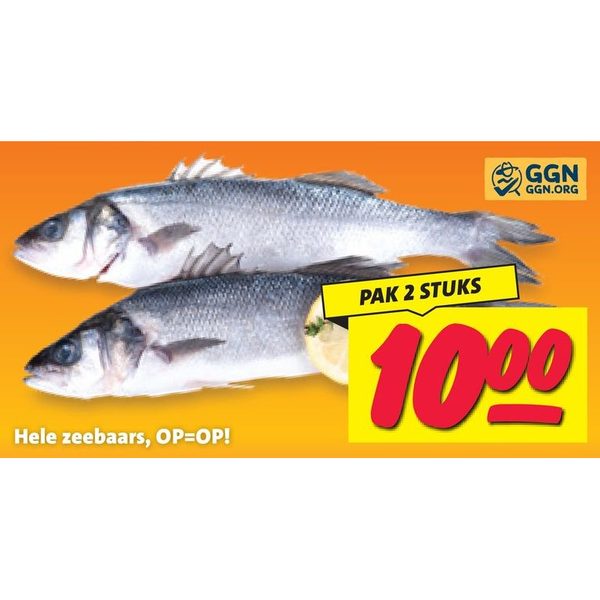 Hele zeebaars