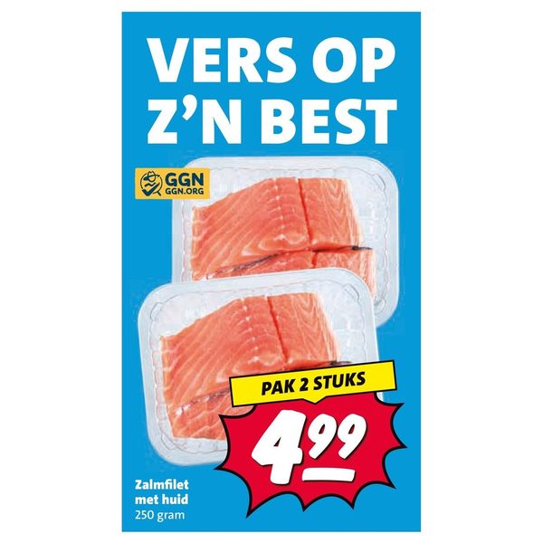 Zalmfilet met huid