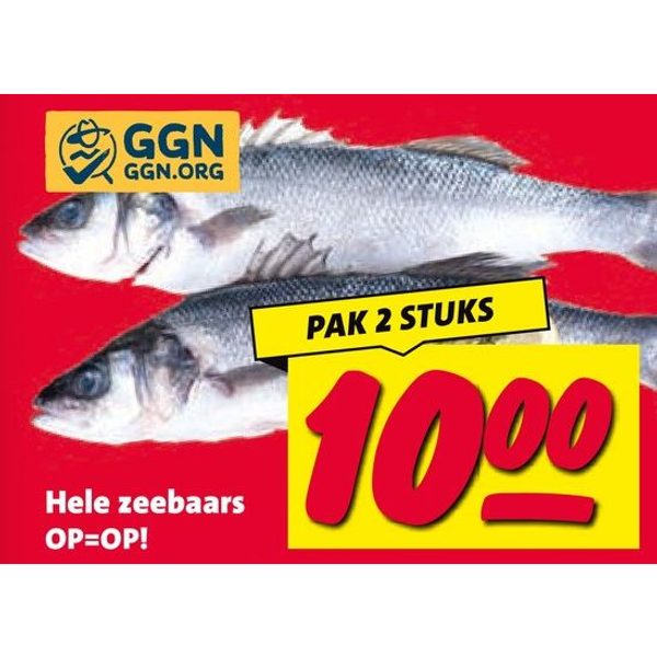 Hele zeebaars