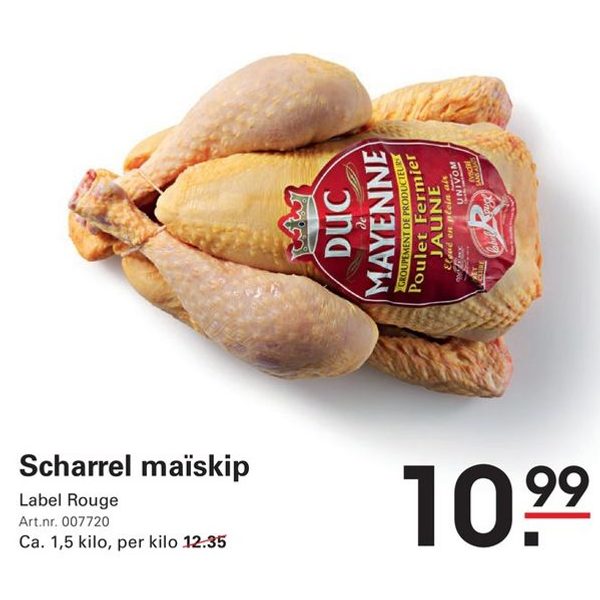 Scharrel maïskip