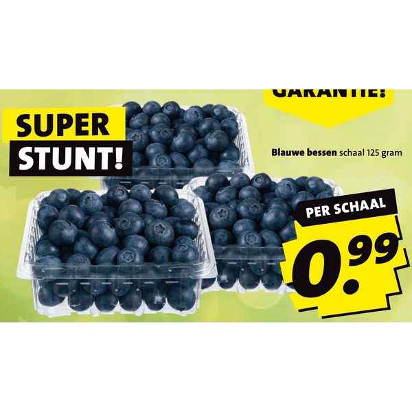 Blauwe bessen