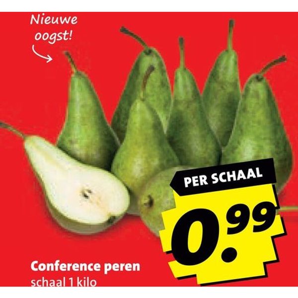 Conference peren