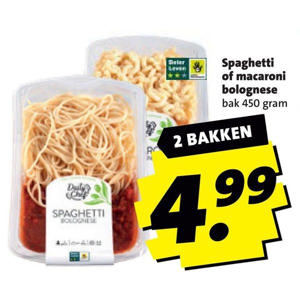 Spaghetti of macaroni bolognese