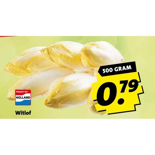 Witlof