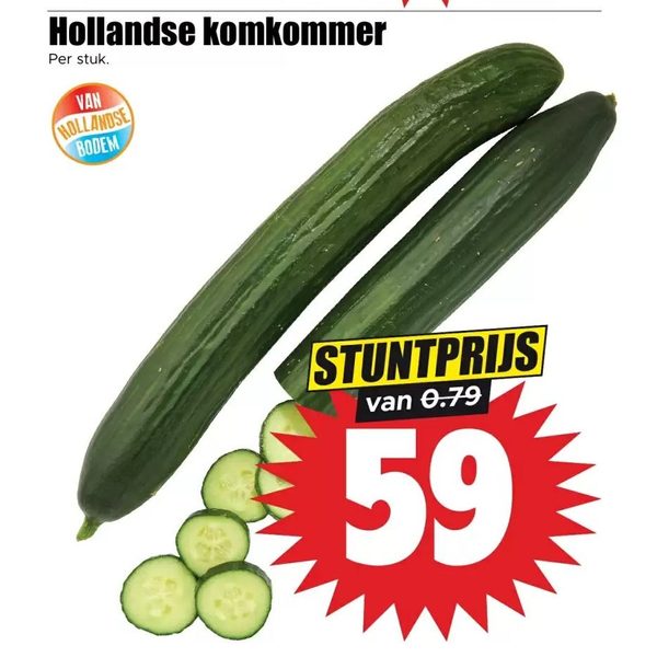 Hollandse komkommer