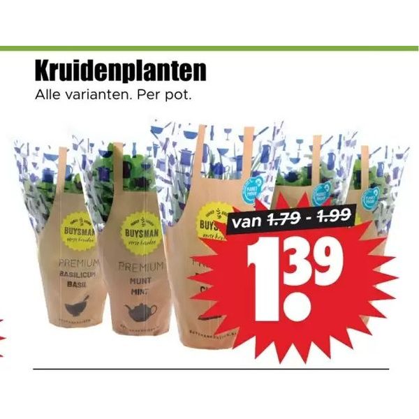 Kruidenplanten