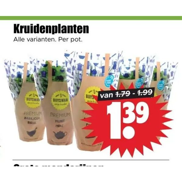 Kruidenplanten