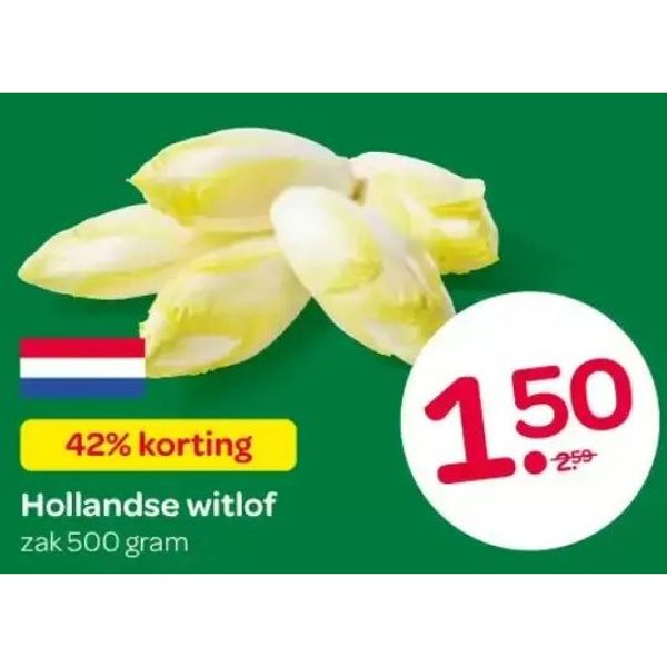 Hollandse witlof