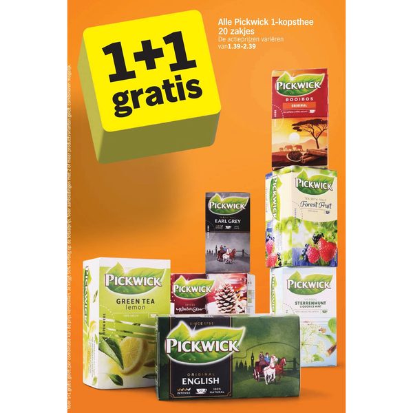 1-kopsthee 20 zakjes