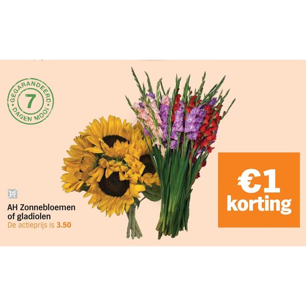 Zonnebloemen of gladiolen