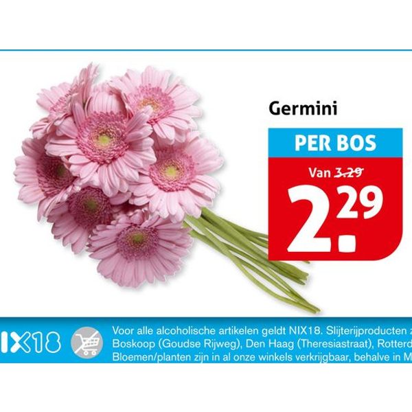 Germini