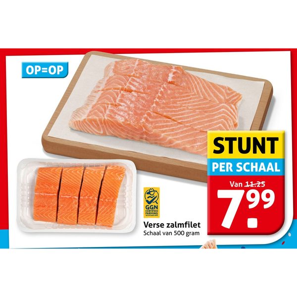 Verse zalmfilet