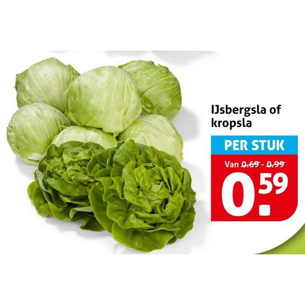 IJsbergsla of kropsla