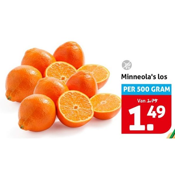 Minneola's los