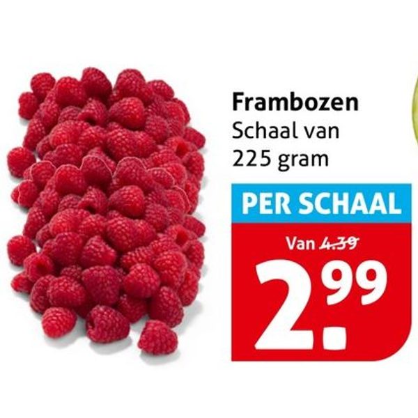 Frambozen