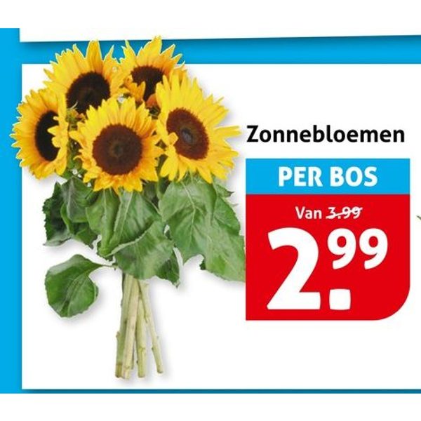 Zonnebloemen