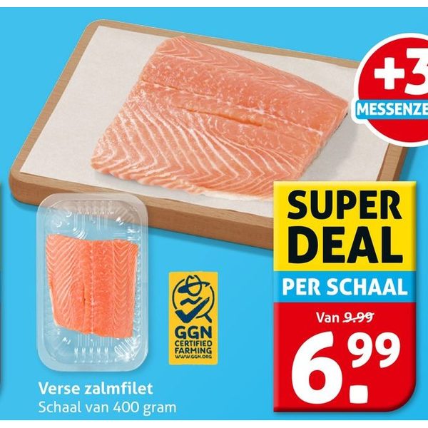 Verse zalmfilet