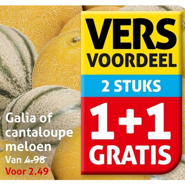 Galia of cantaloupe meloen