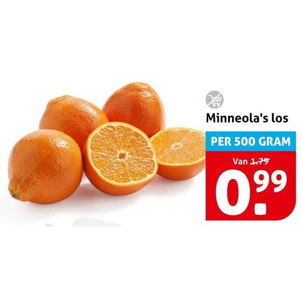 Minneola's los
