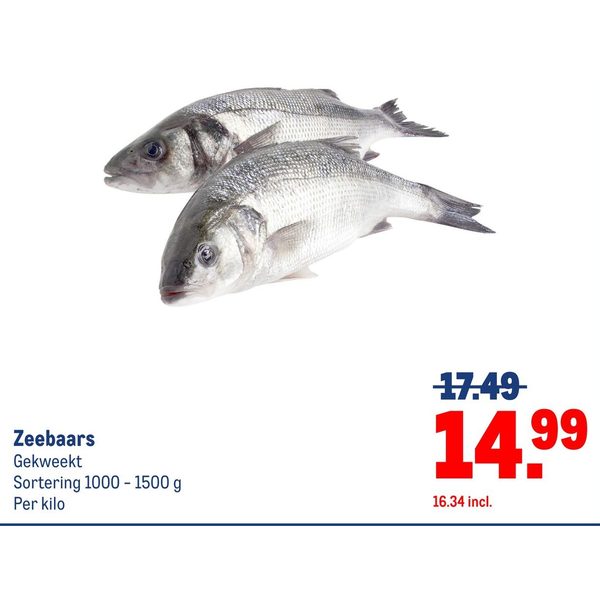Zeebaars
