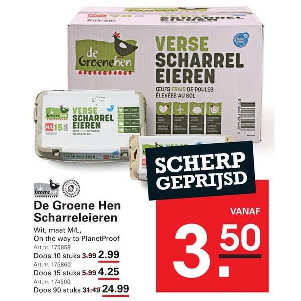 Scharreleieren (Wit, maat M/L)
