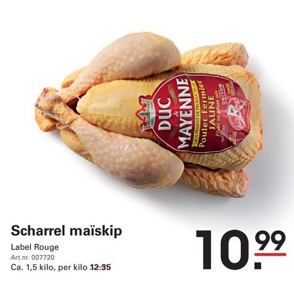 Scharrel maïskip