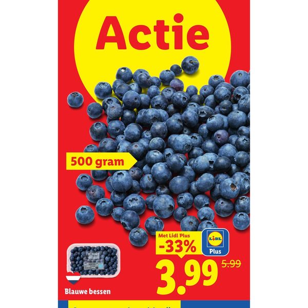 Blauwe bessen