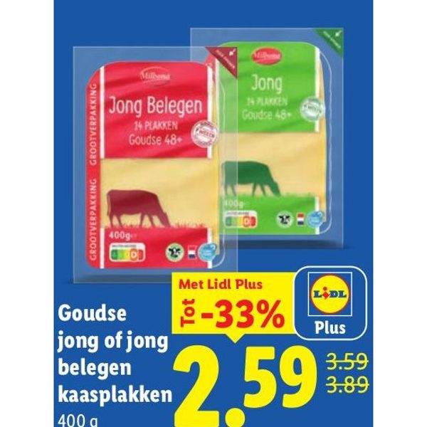 Goudse jong of jong belegen kaasplakken