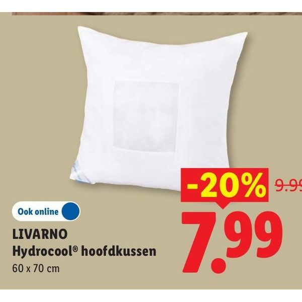 LIVARNO Hydrocool hoofdkussen