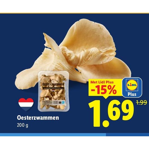 Oesterzwammen