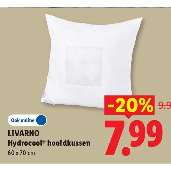 LIVARNO Hydrocool hoofdkussen