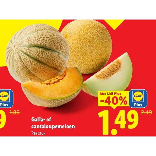 Galia- of cantaloupemeloen