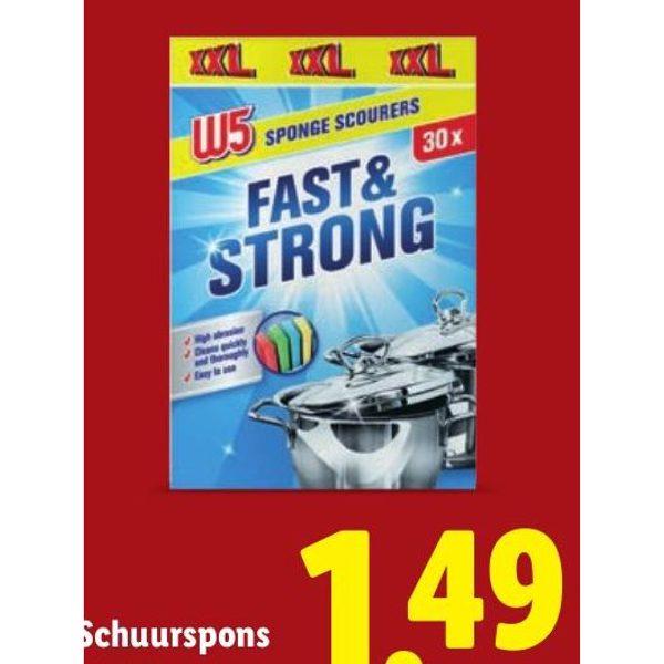 W5 Schuurspons